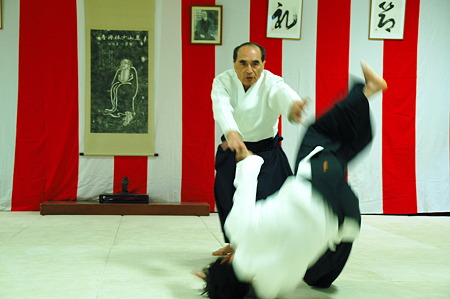 2010年05月05日武蔵野合気道連盟合同稽古_DSC_1747