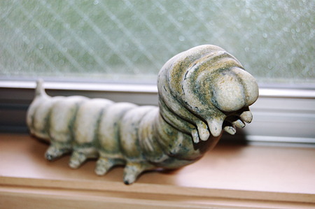 2010年05月30日_DSC_1949