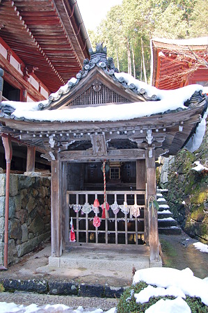 2011年01月09日_DSC_0153