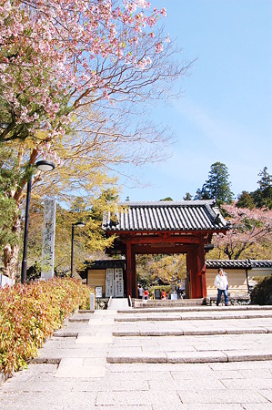 2011年04月17日_DSC_0033