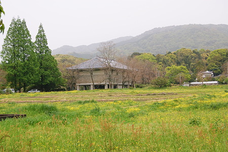 2011年05月01日_DSC_0335