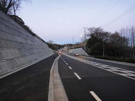 110113 尻手黒川道路