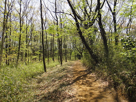 110417 小野路城址