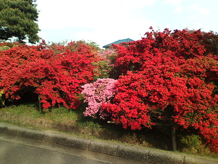 20110504160649