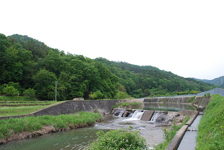DSC_0783 DSC_0783