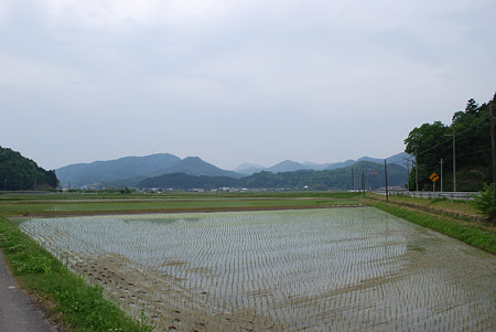 DSC_0795 DSC_0795