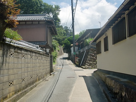 CIMG0207 CIMG0207