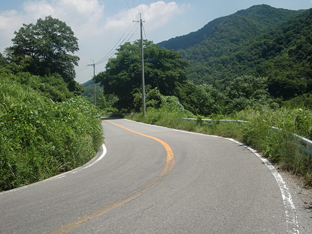 CIMG0208 CIMG0208