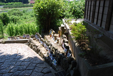 DSC_0603 DSC_0603