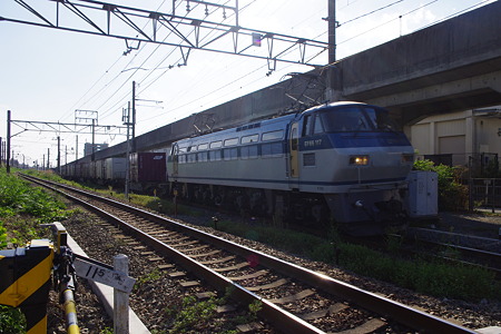 IMGP6247