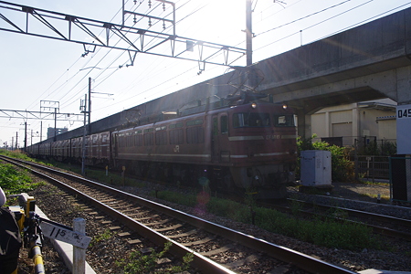 IMGP6259