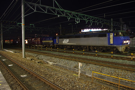 IMGP9451