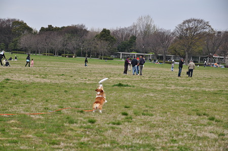 DSC_7371