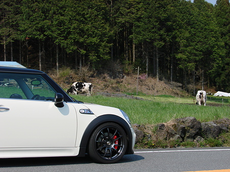 牛さんとMINIっぺ号！