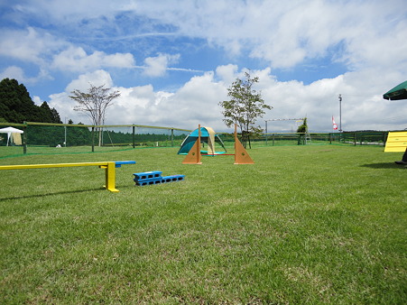 DSC00503
