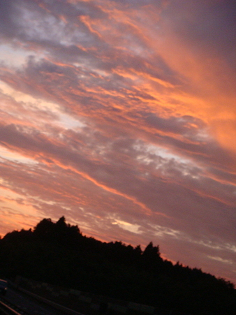 DSC05433