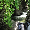 渓谷の中に緑の滝