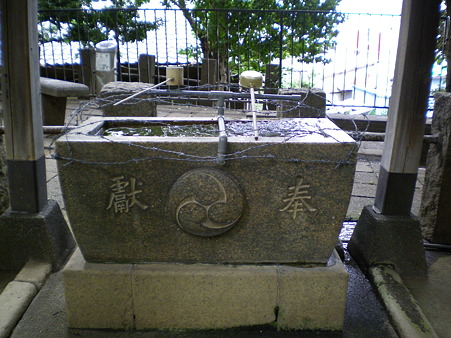 IMGP1908