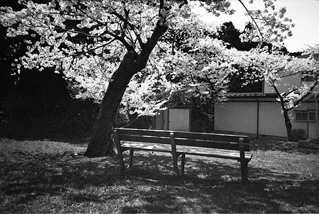 img046(RICOH R1)