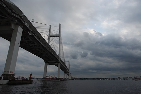 IMGP7556