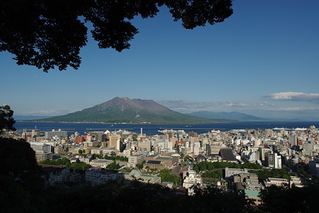 IMGP8531