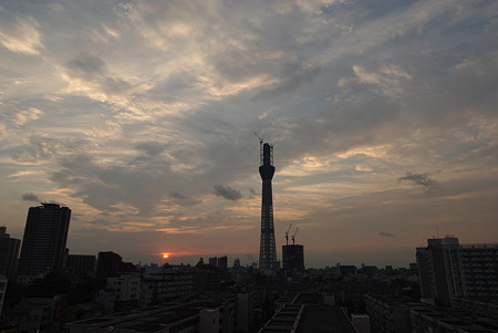 IMGP6220