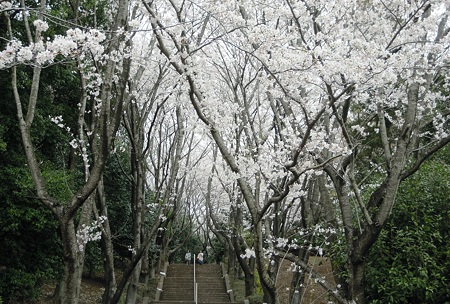 DSCN1367
