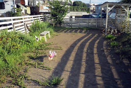 DSCN3931