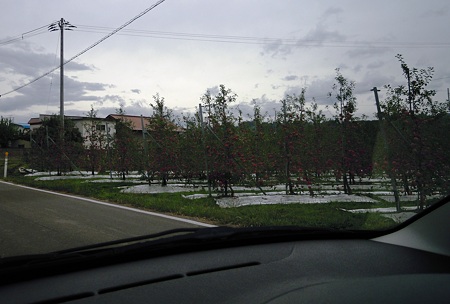 DSCN4543