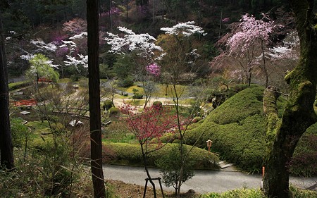 石山寺45