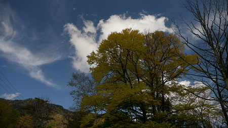 P1030186