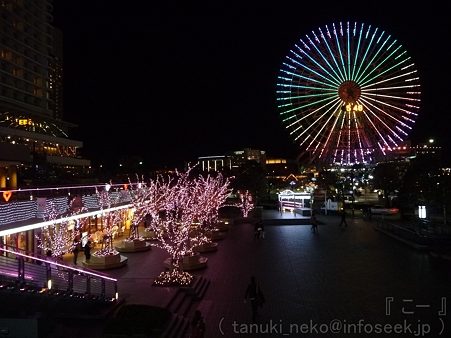 111122-QSテラス (10)