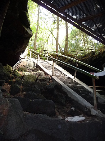 100518-鳴沢氷穴-24