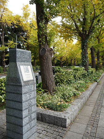 101119-紅葉 山下公園通り (12)