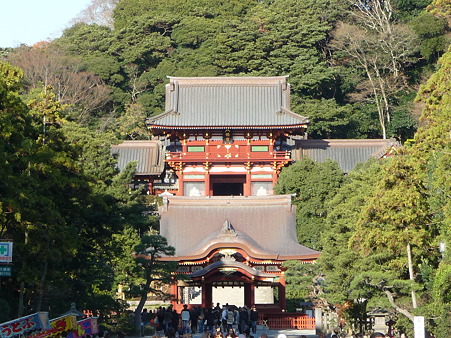 101210-八幡さま (3)