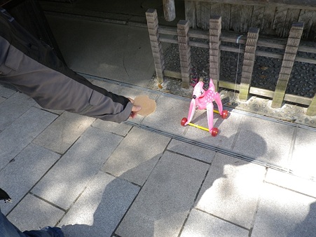 20100508奈良公園3