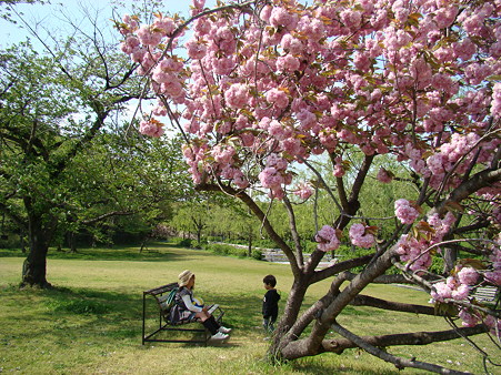2010-4-29 万博公園