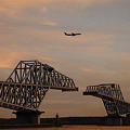 東京港臨海大橋（仮称）と飛行機