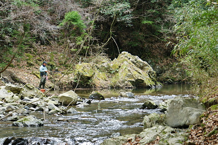 DSC00209