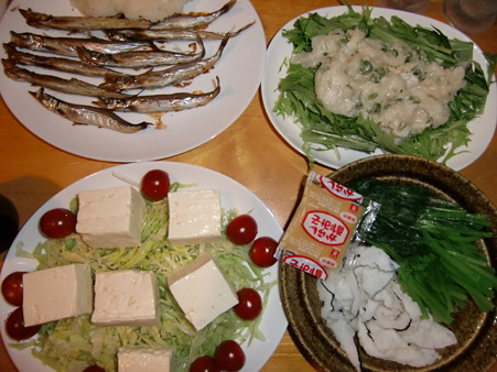 2010-5-29 晩酌肴