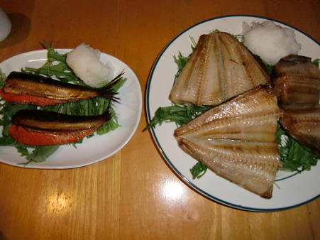 2010.11.20 晩酌肴1