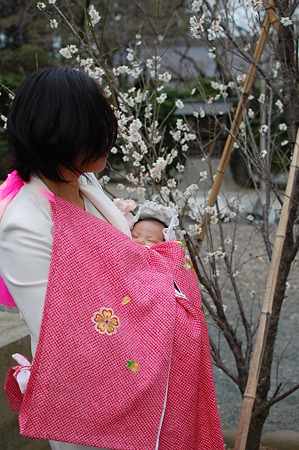 梅の花と一緒に