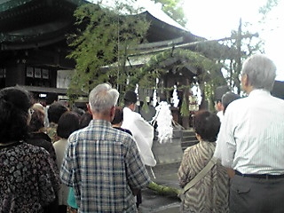 大祓式(茅の輪くぐり)