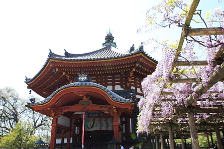 2010.04.28　興福寺　南円堂