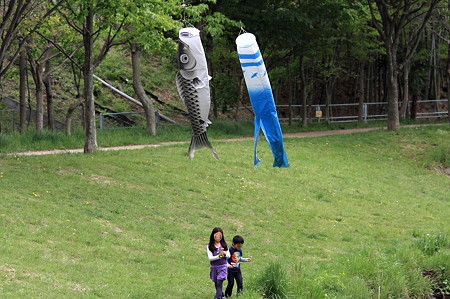 2011.05.03　和泉川　鯉幟