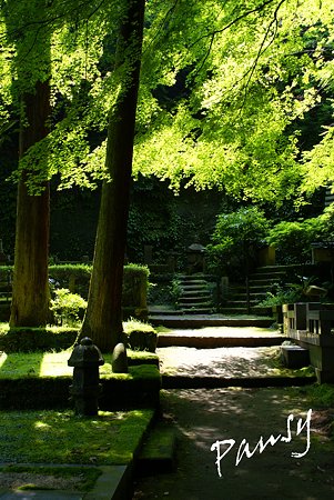 風待月の東慶寺にて・・4