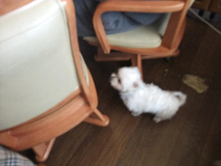 勢いつけて・・・