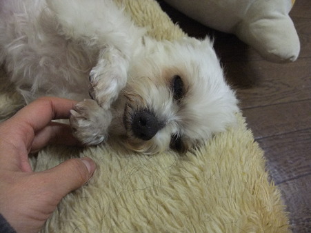 気持ち良さそう~