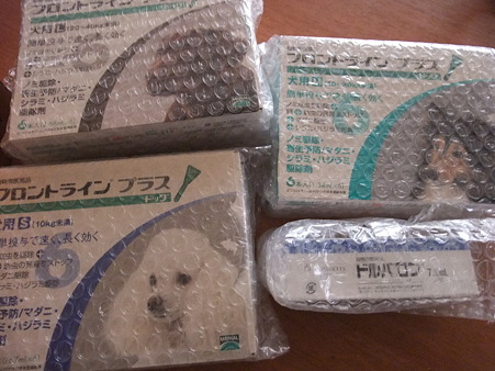 フロントラインのプレゼント