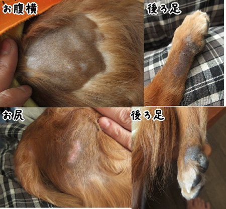 3週間後(今現在)